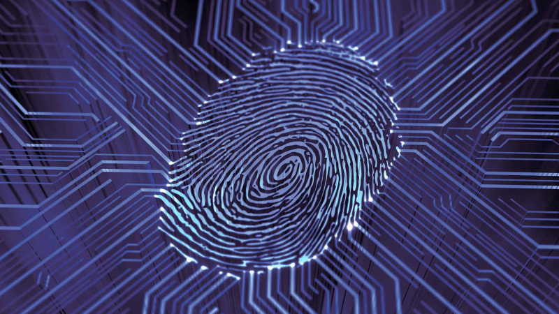Una investigación científica puso en duda lo que pensábamos de nuestras huellas dactilares con la ayuda de la Inteligencia Artificial