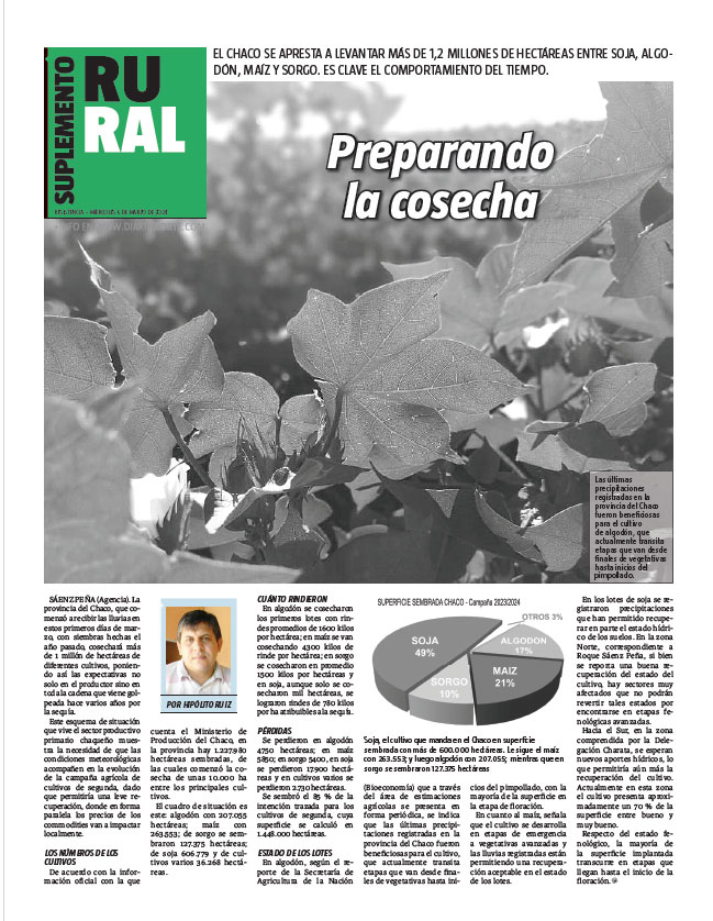 Preparando la cosecha