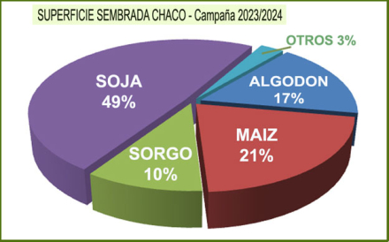 Superficie-sembrada-2024.jpg