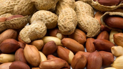 Argentina será sede del World Peanut Meeting