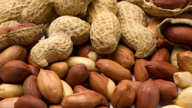 Argentina será sede del World Peanut Meeting