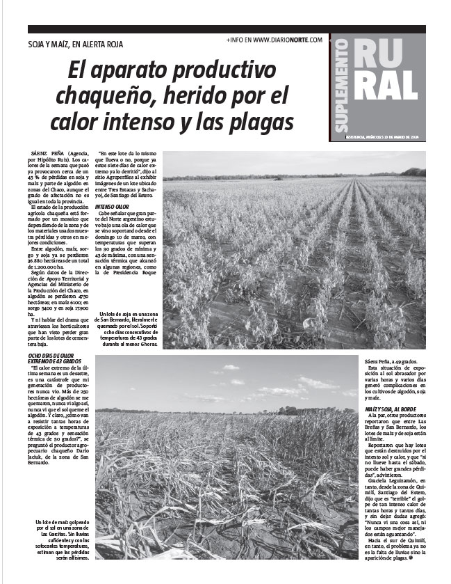 El aparato productivo chaqueño, herido por el calor intenso y las plagas