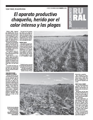 El aparato productivo chaqueño, herido por el calor intenso y las plagas
