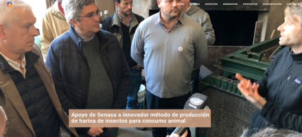 Harina-de-insectos2.jpg