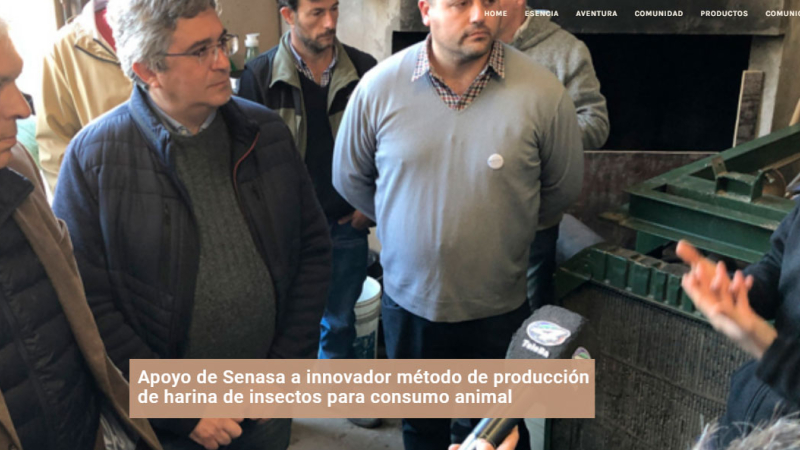 Inauguran la primera bioplanta de cría insectos para consumo animal del país