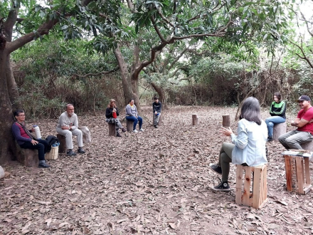 bosque nativo amigable.jpg