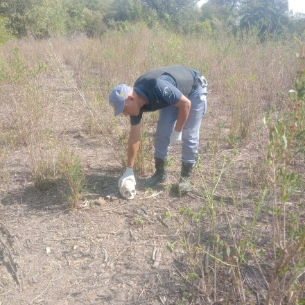 craneo dos.jfif