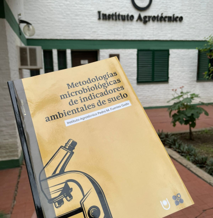 libro.jpg