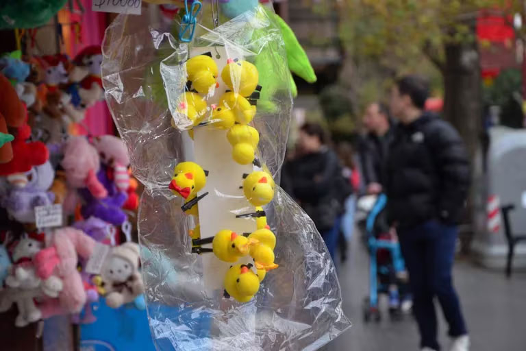 patitos3.jpg