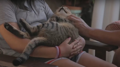 Hay 57 chicos y chicas en condiciones de ser adoptados