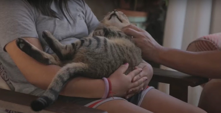 nena adopcion.jpg
