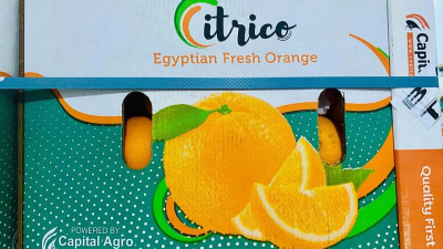 En Chajarí venden naranjas de Egipto 