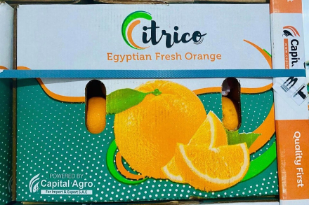 naranjas de egipcio.jpg