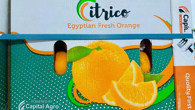 En Chajarí venden naranjas de Egipto 