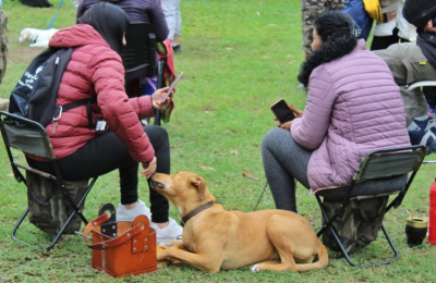 La jornada de castración gratuita superó todas las expectativas