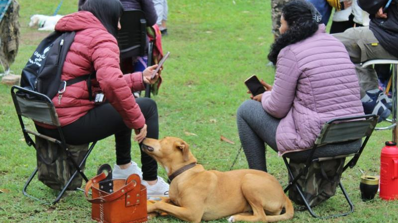 La jornada de castración gratuita superó todas las expectativas