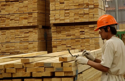 La foresto-industria chaqueña pide depurar el padrón del CCG