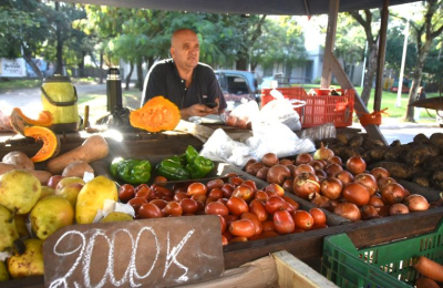 Alta volatilidad de precios: el kilo de pimiento rojo llegó a pagarse $12.000