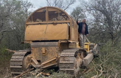 Proponen aumentar penas por desmontes y promover la reforestación