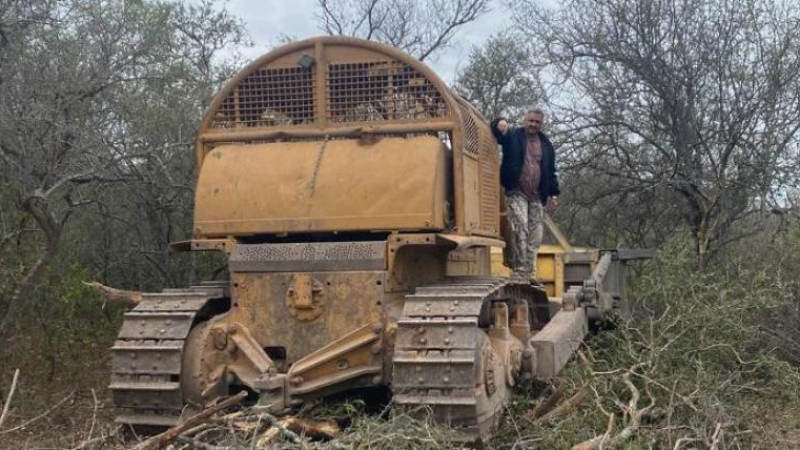 Proponen aumentar penas por desmontes y promover la reforestación