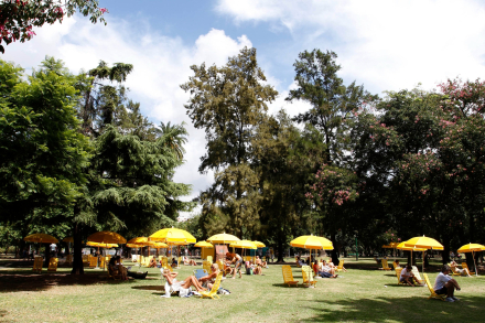 tomar sol 2.jpg
