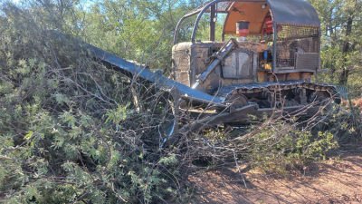 Bosques mantiene un rastreo satelital de los montes