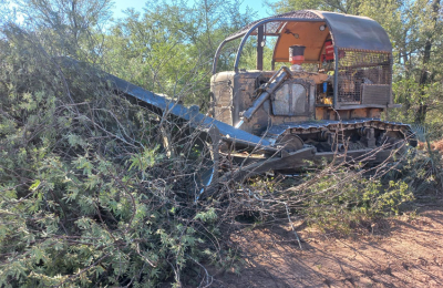 Bosques mantiene un rastreo satelital de los montes