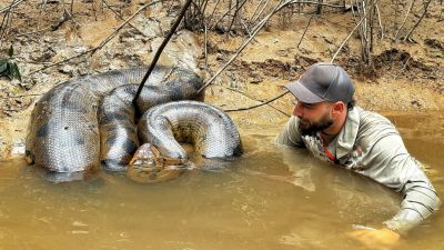 Extraordinaria experiencia de un veterinario chaqueño al encontrarse por primera vez con una anaconda gigante en el Amazonas