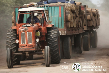 camion.jpg