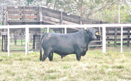 16-R-163-JUan Cruz hijo de Francesco.jpg