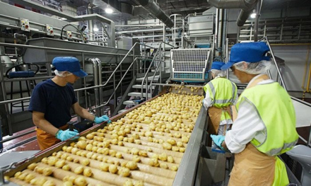 alimentos.jpg