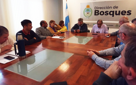 bosques01.jpg