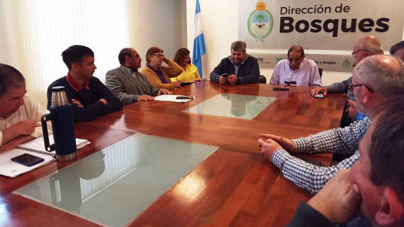 Asociaciones forestales piden destrabar frenos en Colonización y Producción