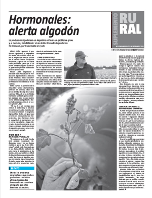 Hormonales: alerta algodón