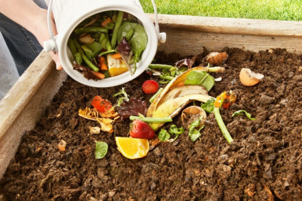 compost.jpg