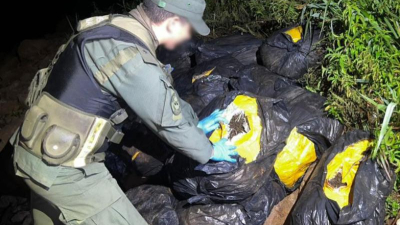 Incautan más de media tonelada de drogas en Misiones