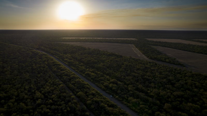 Nación objeta el nuevo ordenamiento de bosques por no cumplir la ley federal