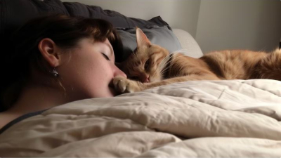 ¿Qué significa que mi gato duerma en mi cabeza?