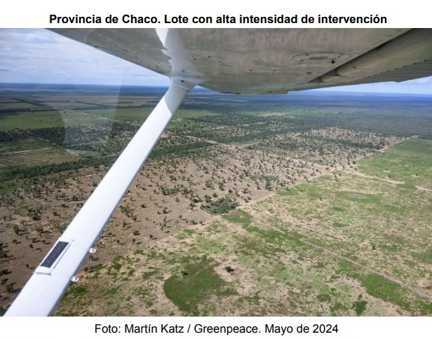 LOTE.jpg