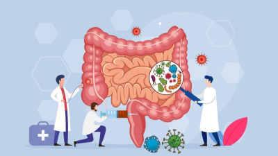Microbiota intestinal, un sistema clave para definir nuestra calidad de vida