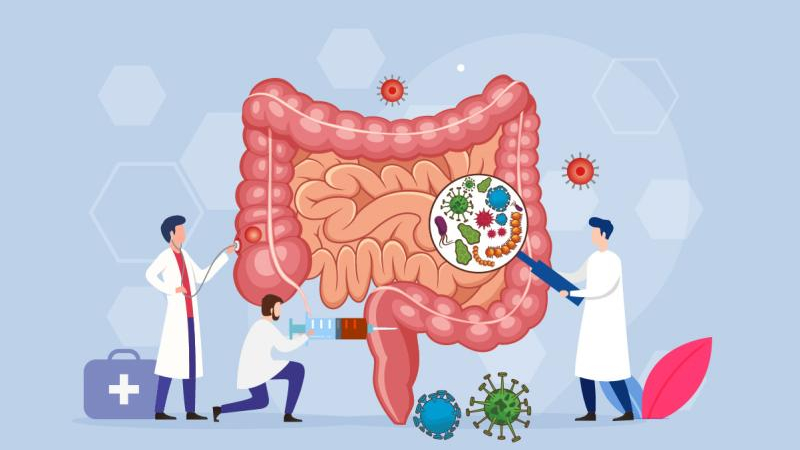 Microbiota intestinal, un sistema clave para definir nuestra calidad de vida