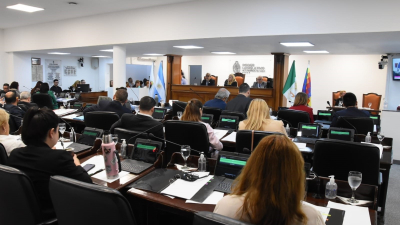 La Legislatura trata la modificación del Fondo de Alta Complejidad del Insssep