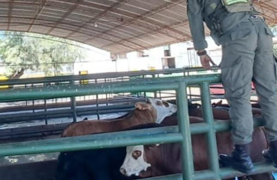 Allanamientos por lavado de activos en un frigorífico de Villa Ángela