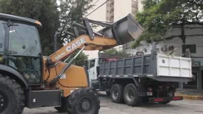 Daños por caída de árboles, el saldo del temporal en Resistencia