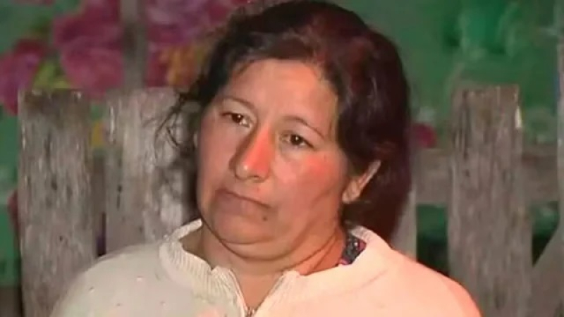Laudelina apeló el procesamiento por la presunta sustracción y ocultamiento de su sobrino
