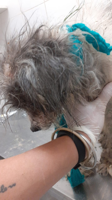 WhatsApp Image 2024-12-15 at 18.46.34 (3).jpeg