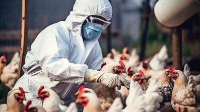 Primer caso humano de gripe aviar en Los Ángeles