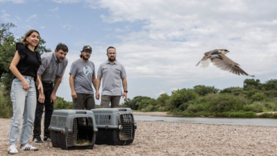 Córdoba: liberaron 48 animales silvestres en su hábitat natural