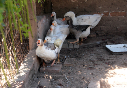 Refugio San Jose 1.JPG