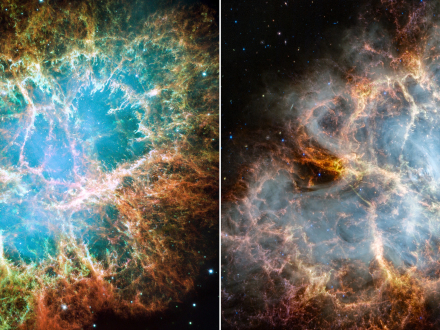 crab nebula hubble&webb.jpg